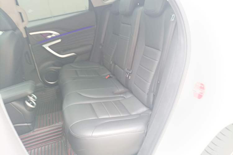 Used Wey VV7 2020 2.0T Ultra-Luxury Version Left Rear Seat