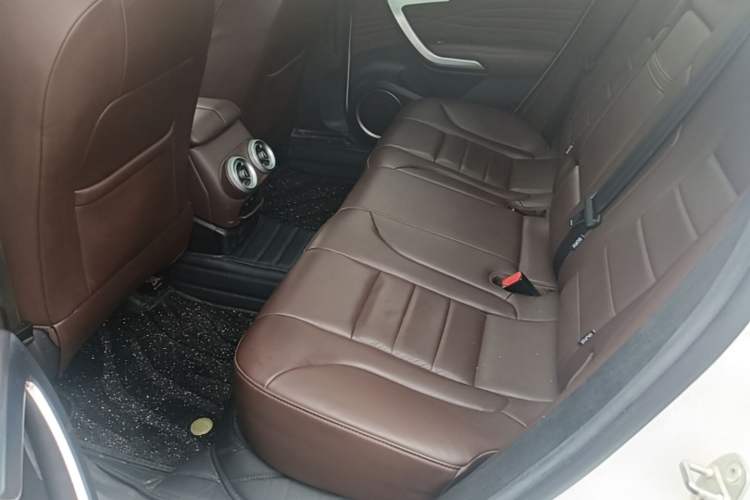 Used Wey VV7 2020 2.0T Flagship Edition Left Rear Seat