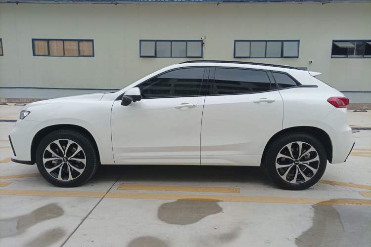 Used Wey VV7 2020 2.0T Ultra-Luxury Version Left Side