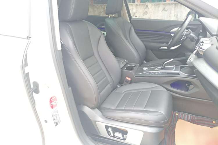 Used Wey VV7 2020 2.0T Ultra-Luxury Version Right Front Seat