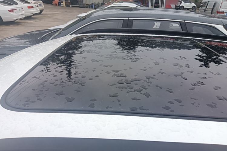 Used Wey VV7 2020 2.0T Flagship Edition Roof