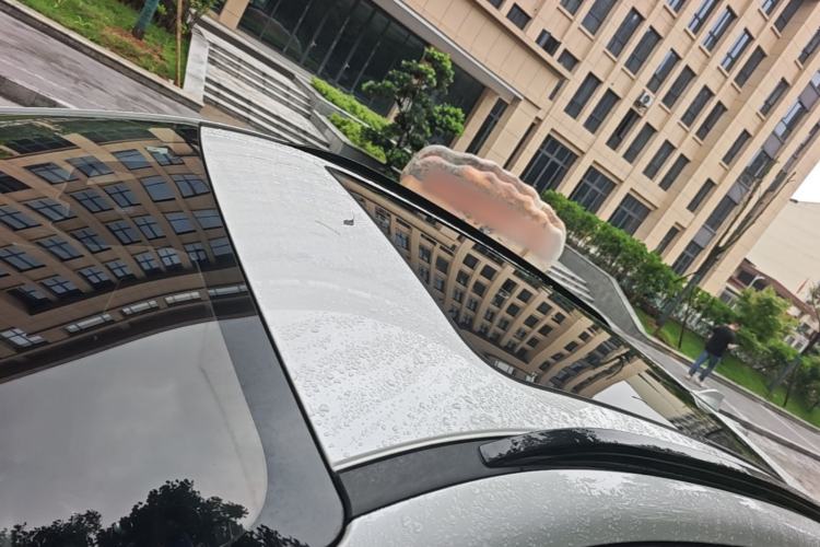 Used Wey VV7 2020 2.0T Flagship Edition Roof