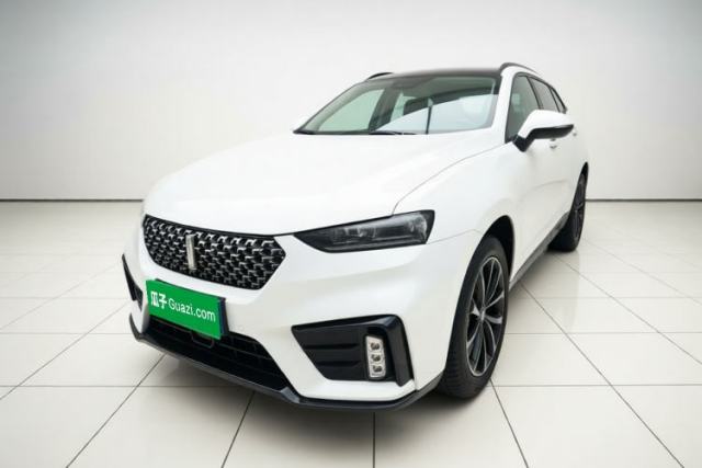 Wey VV7 2020 2.0T Ultra-Luxury Version usado
