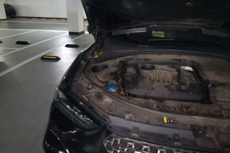 Used Wey VV7 2021 2.0T Technology Edition Engine Bay Right