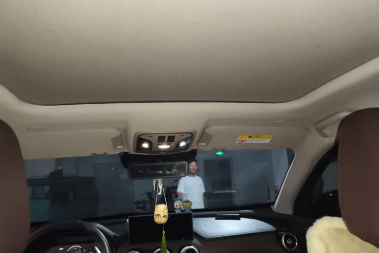 Used Wey VV7 2021 2.0T Technology Edition Headliner