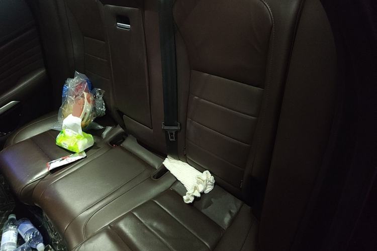 Used Wey VV7 2021 2.0T Technology Edition Left Rear Seat