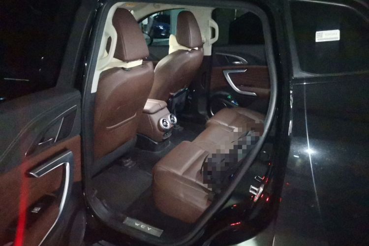 Used Wey VV7 2021 2.0T Technology Edition Left Rear Seat