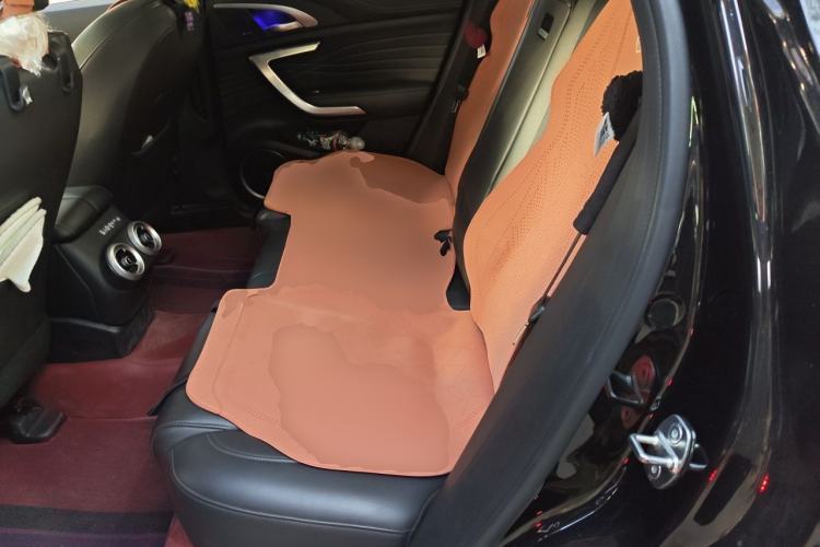 Used Wey VV7 2021 2.0T Technology Edition Left Rear Seat