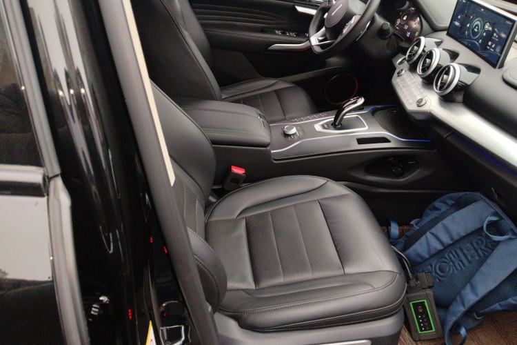 Used Wey VV7 2021 2.0T Technology Edition Right Front Seat