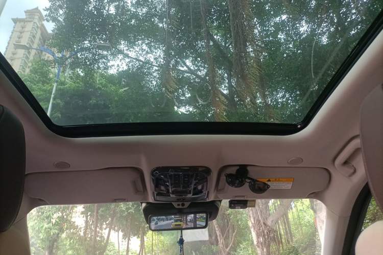Used Wey VV7 2021 2.0T Technology Edition Headliner