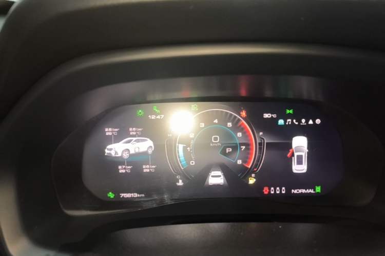 Used Wey VV7 2021 2.0T Technology Edition Instrument Cluster