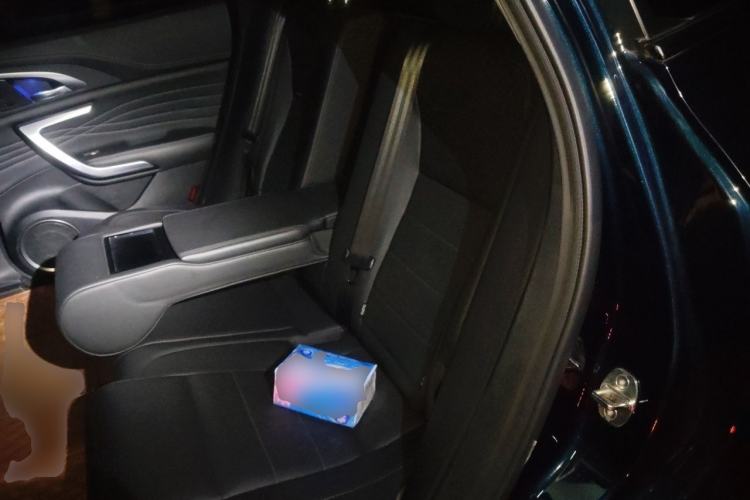 Used Wey VV7 2021 2.0T Technology Edition Left Rear Seat