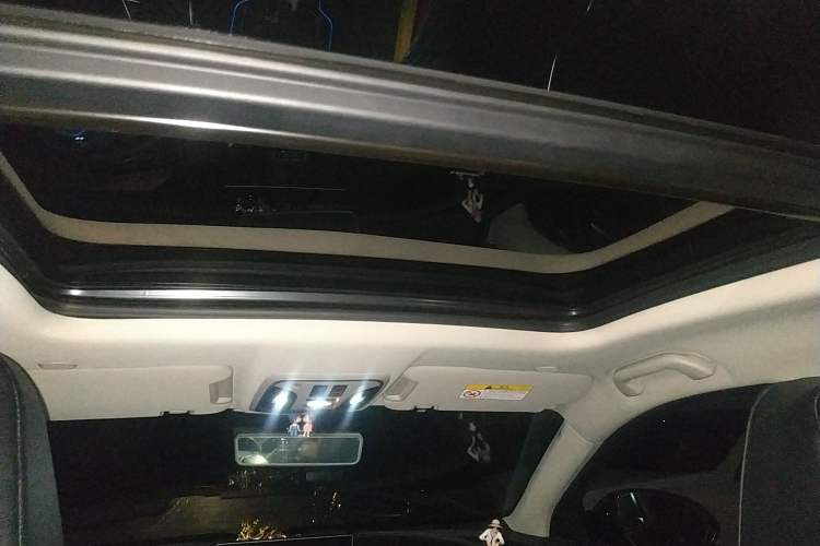 Used Wey VV7 GT 2020 2.0T Flagship Edition Headliner
