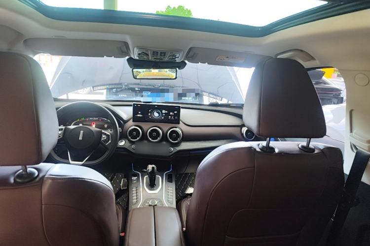 Used Wey VV7 GT 2020 2.0T Flagship Edition Headliner