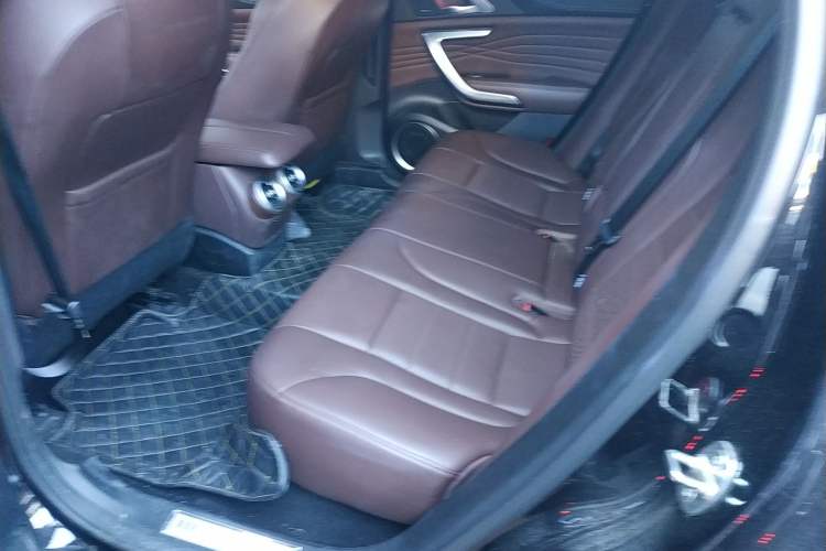 Used Wey VV7 GT 2020 2.0T Flagship Edition Left Rear Seat