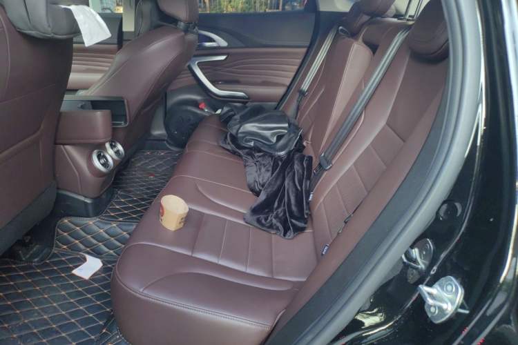 Used Wey VV7 GT 2020 2.0T Flagship Edition Left Rear Seat