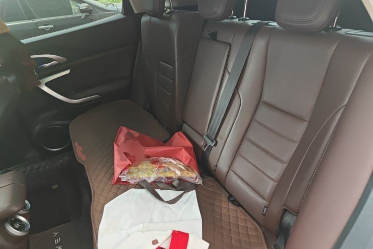 Used Wey VV7 GT 2020 2.0T Flagship Edition Left Rear Seat