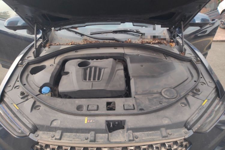 Used Wey VV7 GT 2020 2.0T Flagship Edition Engine Bay