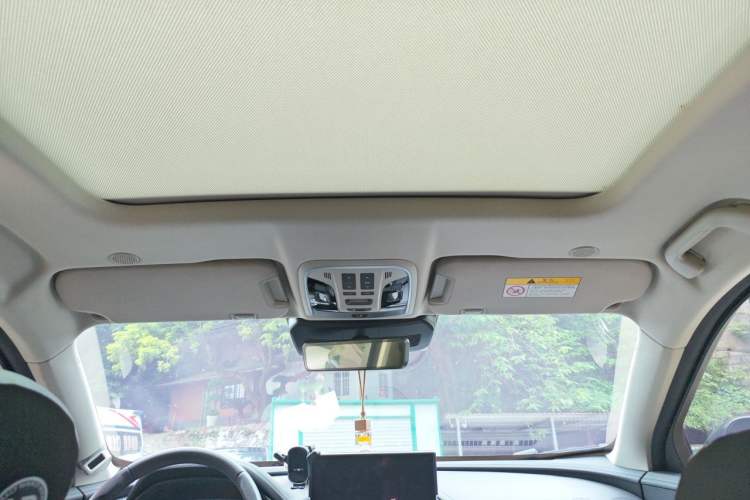 Used Wey VV7 GT 2020 2.0T Flagship Edition Headliner