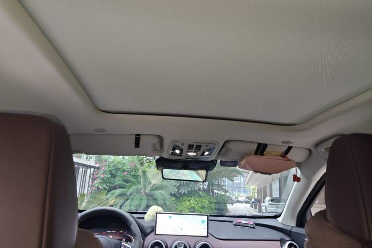 Used Wey VV7 GT 2020 2.0T Flagship Edition Headliner