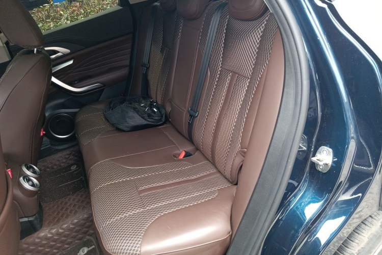 Used Wey VV7 GT 2020 2.0T Flagship Edition Left Rear Seat