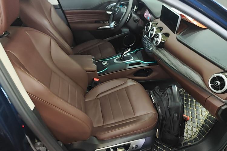 Used Wey VV7 GT 2020 2.0T Flagship Edition Right Front Seat