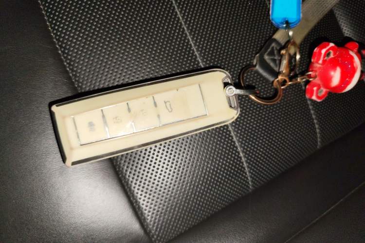 Used Wey VV7 GT 2020 2.0T Flagship Edition Vehicle Key