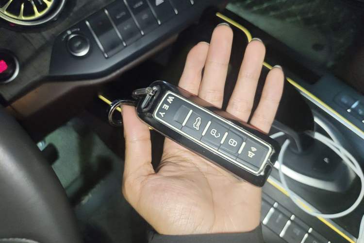 Used Wey VV7 GT 2020 2.0T Flagship Edition Interior 1