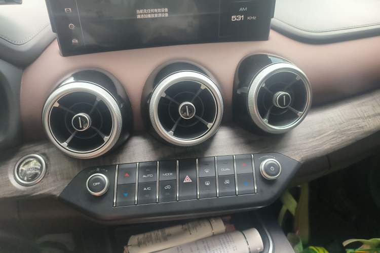 Used Wey VV7 New Energy 2020 PHEV 2.0T Flagship Model Audio And AC Panel