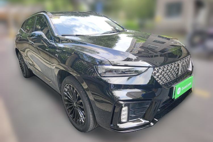 Used Wey VV7 New Energy 2020 PHEV 2.0T Flagship Model Exterior 2