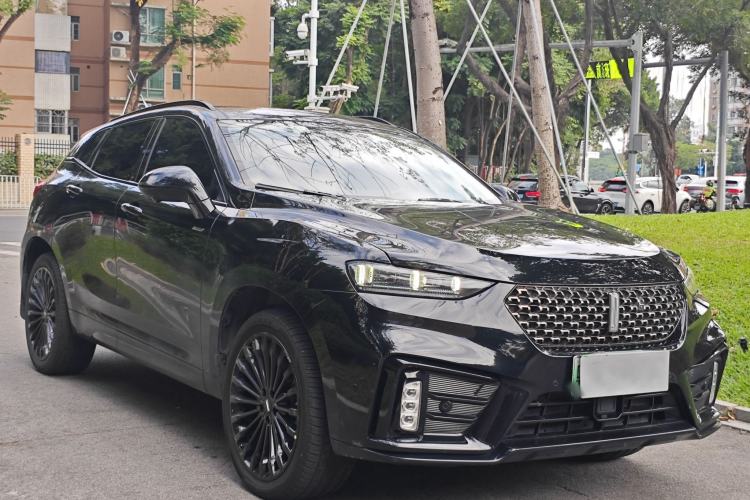 Used Wey VV7 New Energy 2020 PHEV 2.0T Flagship Model Exterior 3