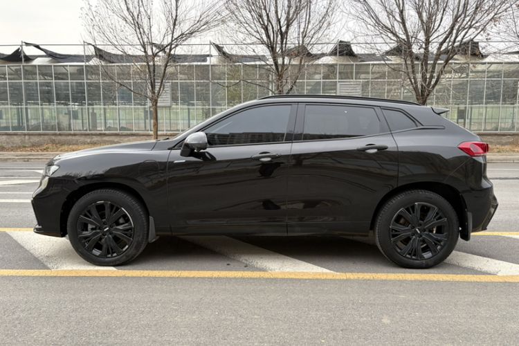 Used Wey VV7 New Energy 2020 PHEV 2.0T Flagship Model Exterior 3