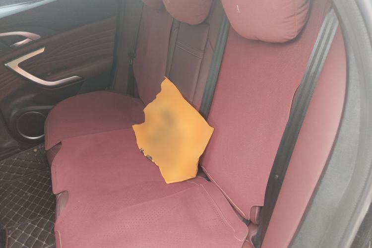 Used Wey VV7 New Energy 2020 PHEV 2.0T Flagship Model Left Rear Seat