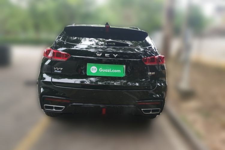 Used Wey VV7 New Energy 2020 PHEV 2.0T Flagship Model Rear