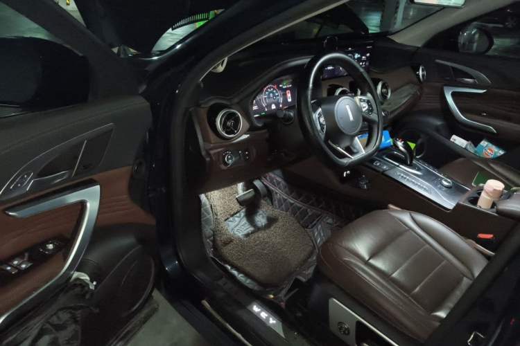 Used Wey VV7 New Energy 2020 PHEV 2.0T Flagship Model Driver Seat