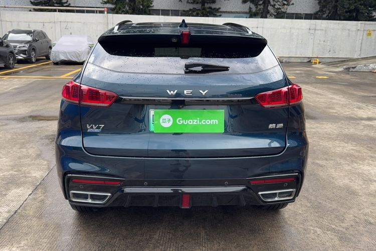 Used Wey VV7 New Energy 2020 PHEV 2.0T Flagship Model Exterior 4