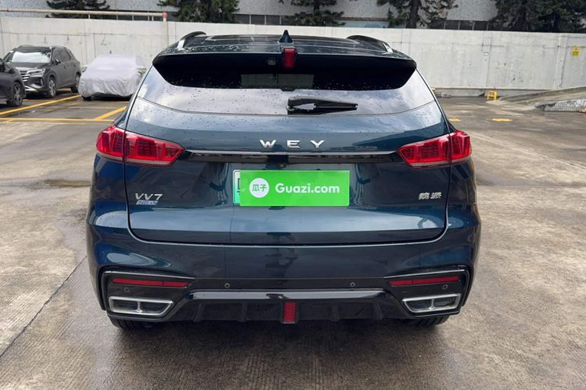 Used Wey VV7 New Energy 2020 PHEV 2.0T Flagship Model Exterior 4