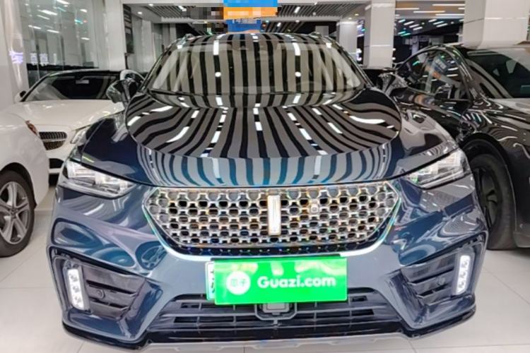 Used Wey VV7 New Energy 2020 PHEV 2.0T Flagship Model Front