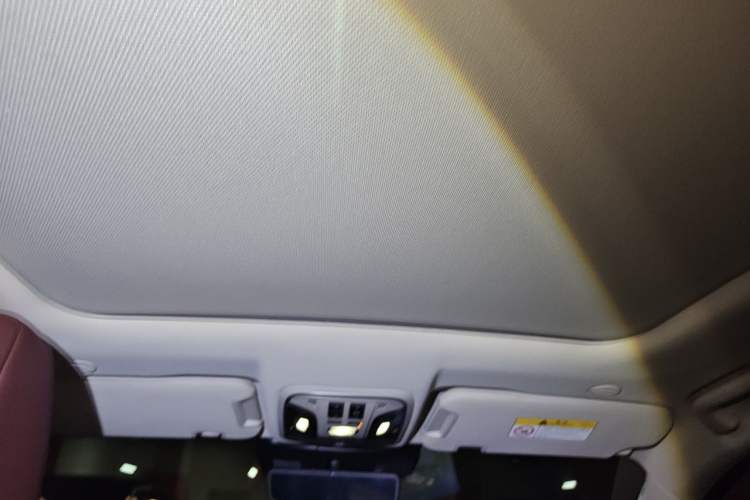 Used Wey VV7 New Energy 2020 PHEV 2.0T Flagship Model Headliner