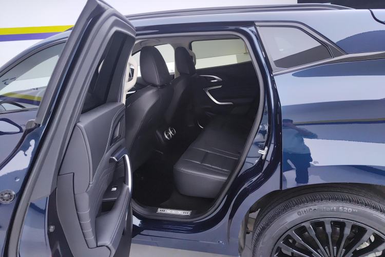 Used Wey VV7 New Energy 2020 PHEV 2.0T Flagship Model Left Rear Seat