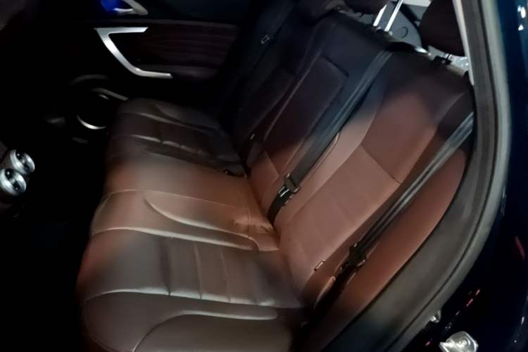 Used Wey VV7 New Energy 2020 PHEV 2.0T Flagship Model Left Rear Seat