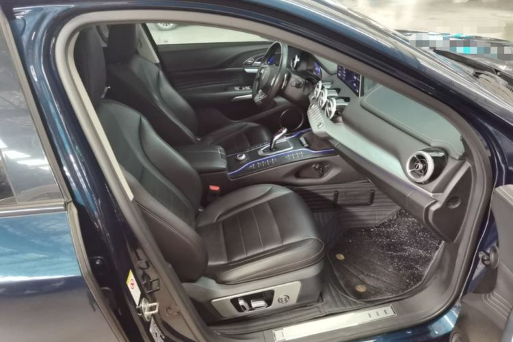 Used Wey VV7 New Energy 2020 PHEV 2.0T Flagship Model Right Front Seat