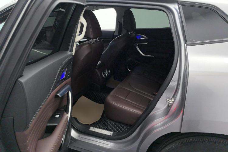 Used Wey VV7 New Energy 2020 PHEV 2.0T Flagship Model Left Rear Seat