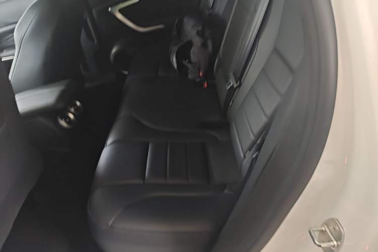 Used Wey VV7 New Energy 2020 PHEV 2.0T Flagship Model Left Rear Seat