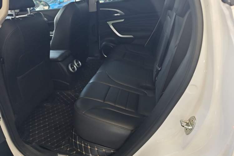 Used Wey VV7 New Energy 2020 PHEV 2.0T Flagship Model Left Rear Seat