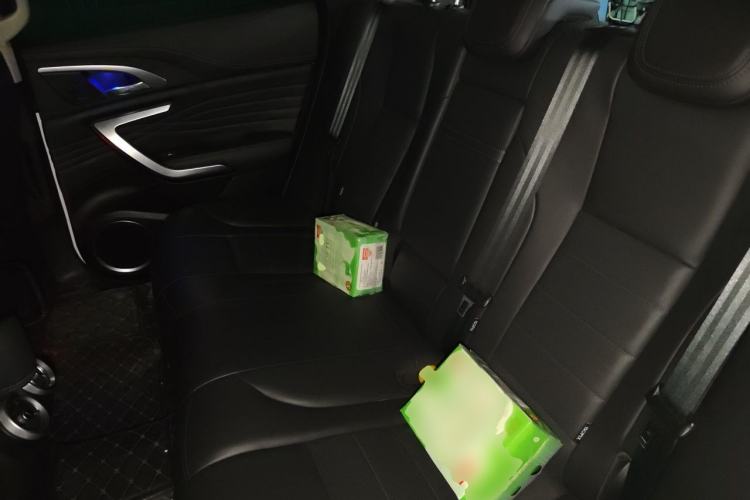 Used Wey VV7 New Energy 2020 PHEV 2.0T Flagship Model Left Rear Seat