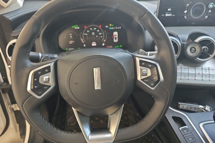 Used Wey VV7 New Energy 2020 PHEV 2.0T Flagship Model Steering Wheel