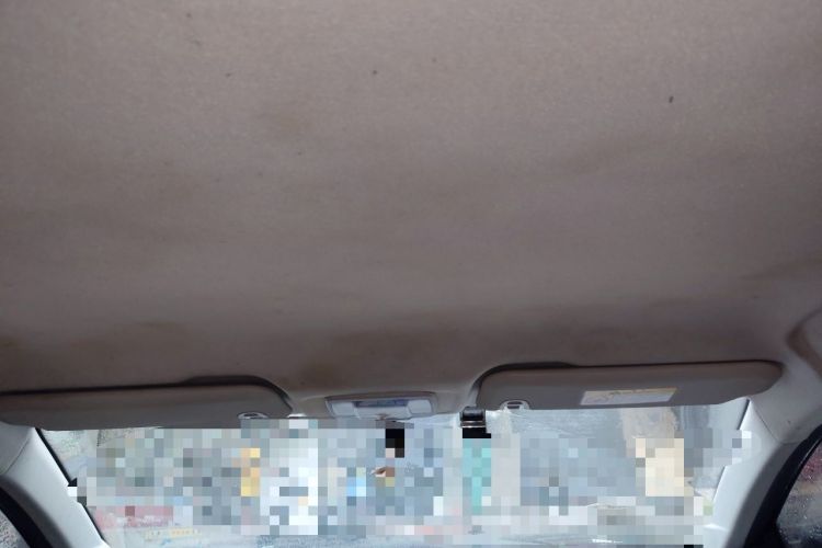 Used WM Motor E.5 2021 500 Ji Ke Xing Headliner