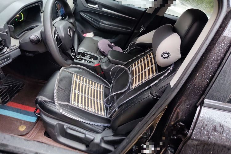 Used WM Motor E.5 2021 500 Ji Ke Xing Left Front Seat