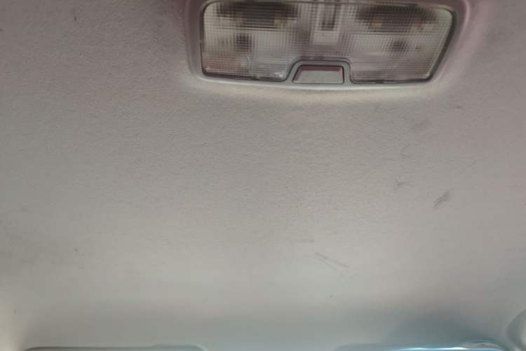Used WM Motor E.5 2021 500 Ji Ke Xing Headliner